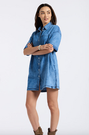 Freida shirt dress