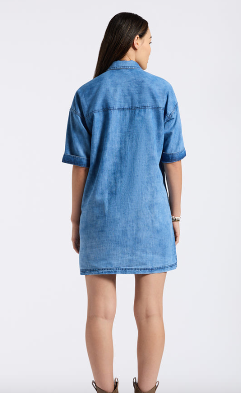 Freida shirt dress