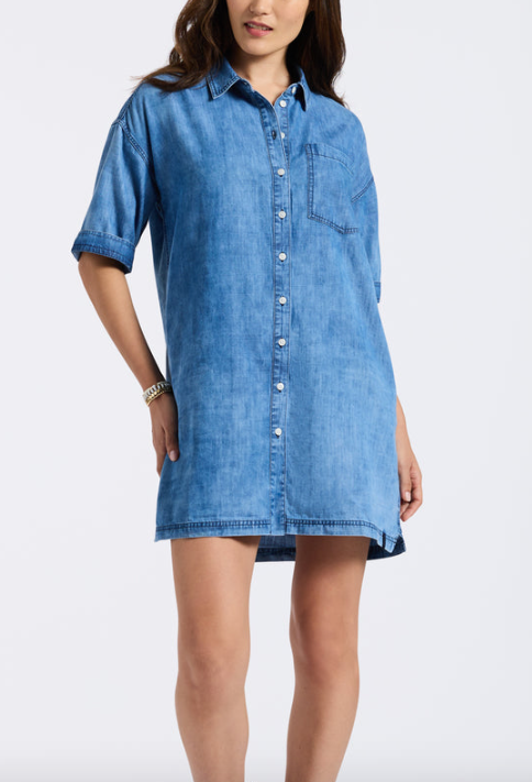 Freida shirt dress