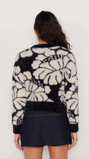 Eden intarzia sweater