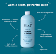 Mint Laundry Detergent